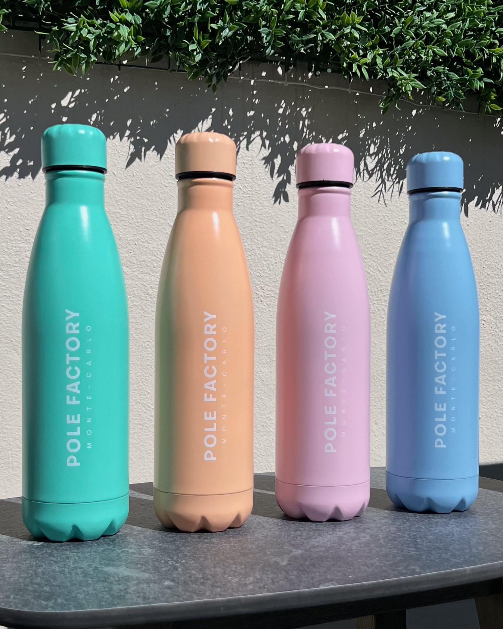 POLE FACTORY - Classic Water Bottle 500ml