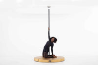 LUPIT - Crash Mat Rond Premium 12cm