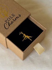 POLE CHARMS – "Gemini" Gold Charm
