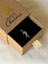 POLE CHARMS – "Titanic" Silver Charm