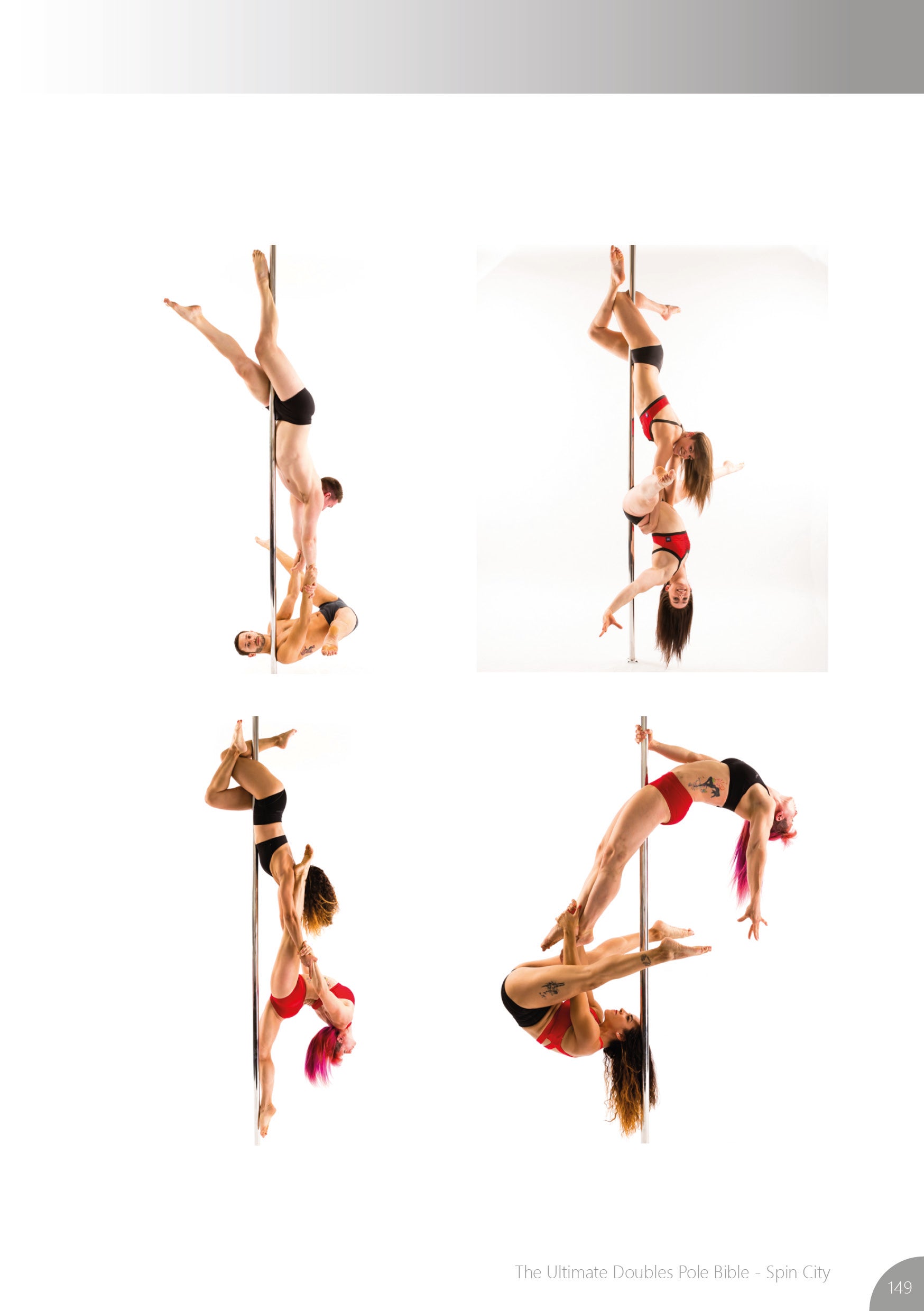 Double Pole Bible - SPIN CITY